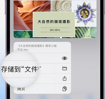 禹会apple维修中心分享iPhone文件应用中存储和找到下载文件