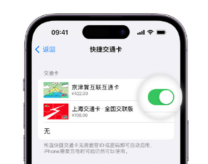 禹会apple维修点分享iPhone上更换Apple Pay快捷交通卡手绘卡面 