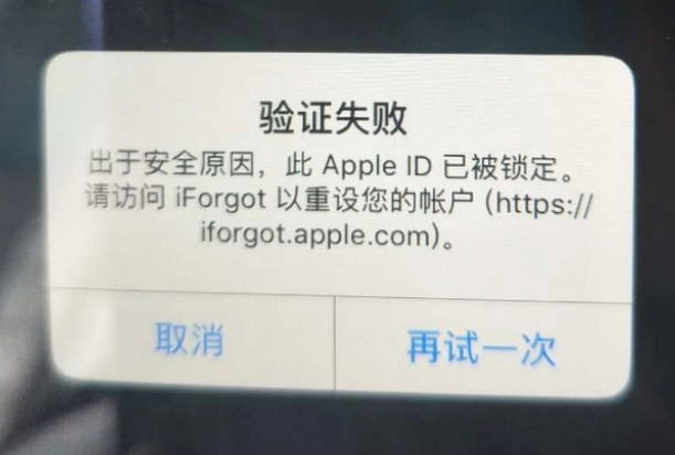 禹会iPhone维修分享iPhone上正常登录或使用AppleID怎么办 