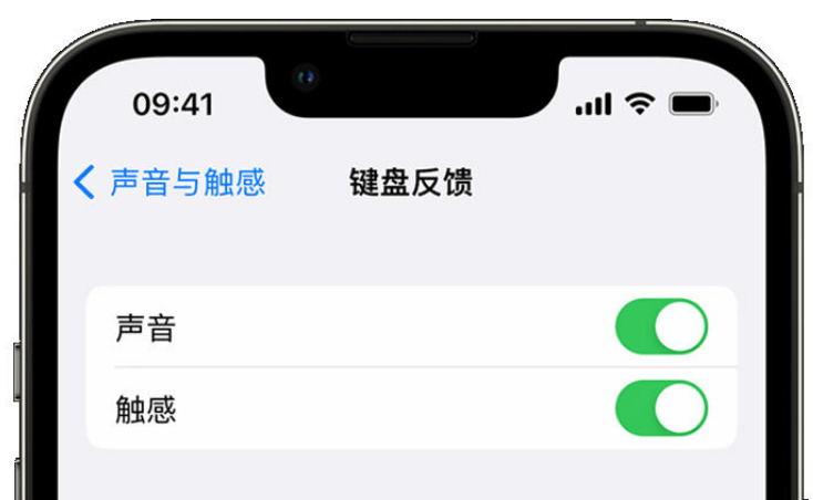 禹会苹果手机维修分享iPhone 14触感键盘使用方法 