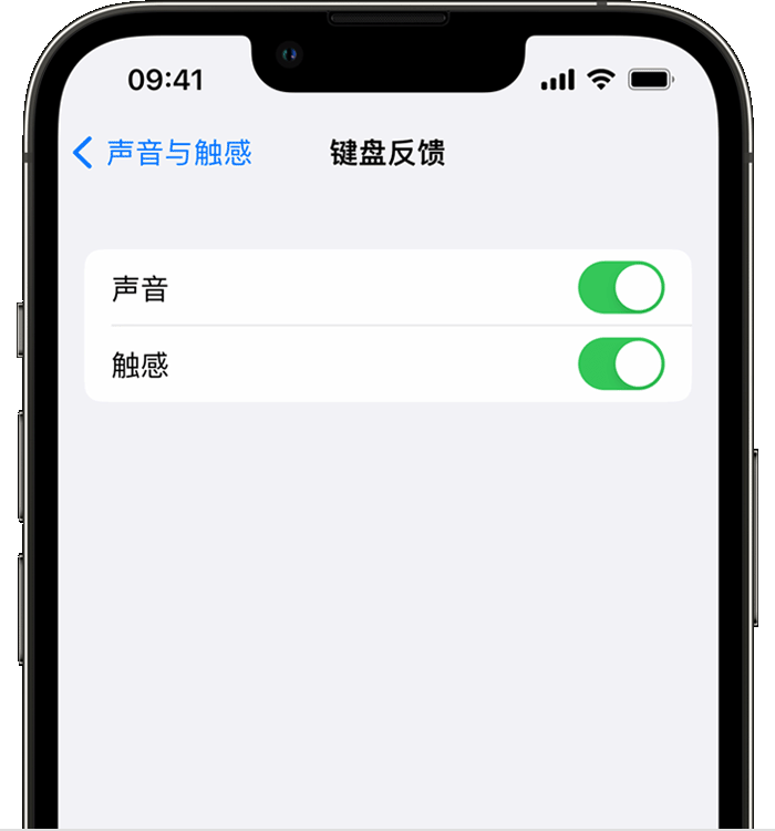 禹会苹果14维修店分享如何在 iPhone 14 机型中使用触感键盘 