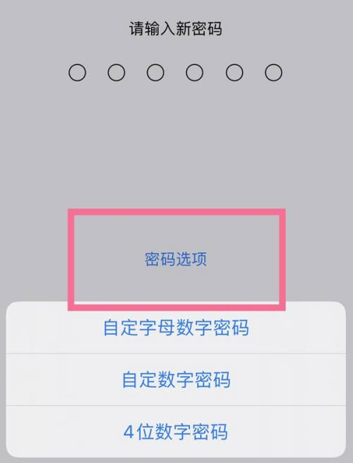 禹会苹果14维修分享iPhone 14plus设置密码的方法 