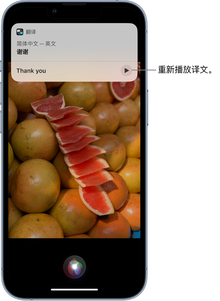 禹会苹果14维修分享 iPhone 14 机型中使用 Siri：了解 Siri 能帮你做什么 