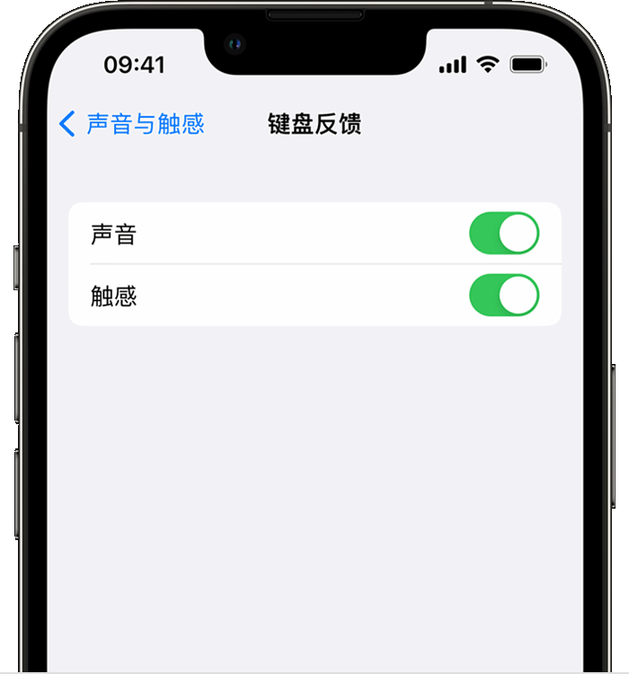 禹会苹果14维修分享iPhone 14 系列机型如何开启键盘声音或触感反馈 