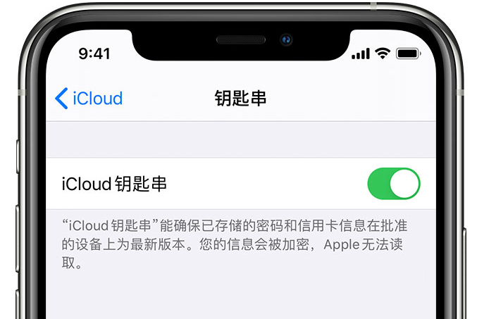 禹会苹果手机维修分享在 iPhone 上开启 iCloud 钥匙串之后会储存哪些信息 