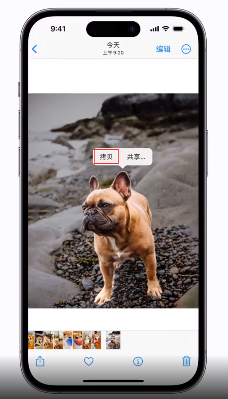 禹会苹果手机维修分享 iOS 16 自带一键抠图功能 