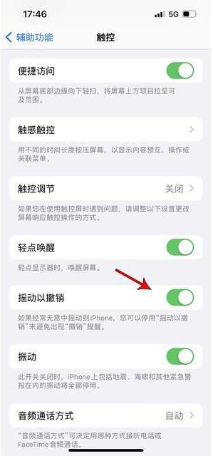 禹会苹果手机维修分享iPhone手机如何设置摇一摇删除文字 