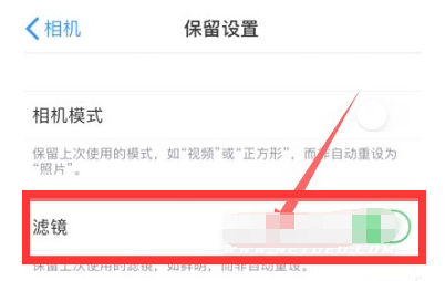 禹会苹果13维修分享iPhone13拍照有绿点是怎么回事 