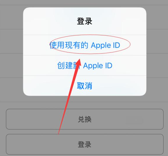 禹会苹果手机维修分享两台iPhone设备可以同时登录一个Apple ID吗 