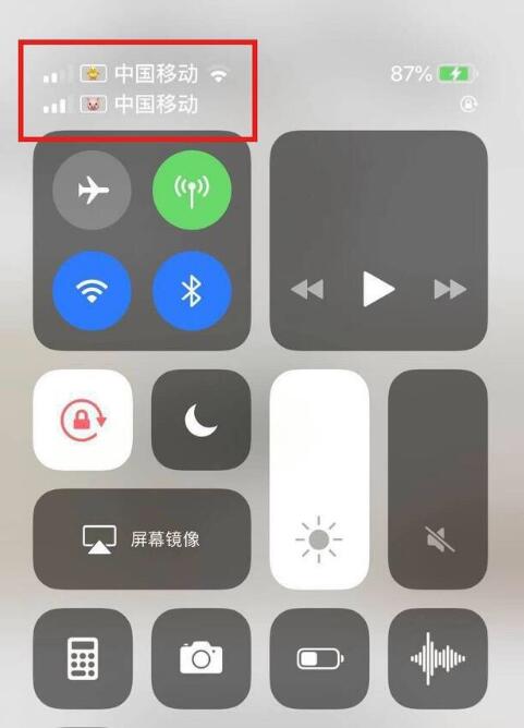 禹会苹果手机维修分享为 iPhone 12 双卡设置标签 