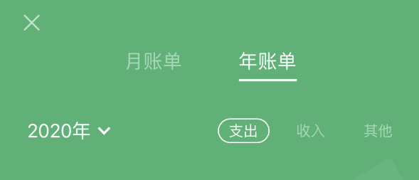 禹会苹果手机维修分享如何在 iPhone 上查看支付宝和微信年支出账单 